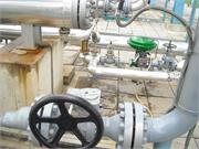 Banatski dvor slika38